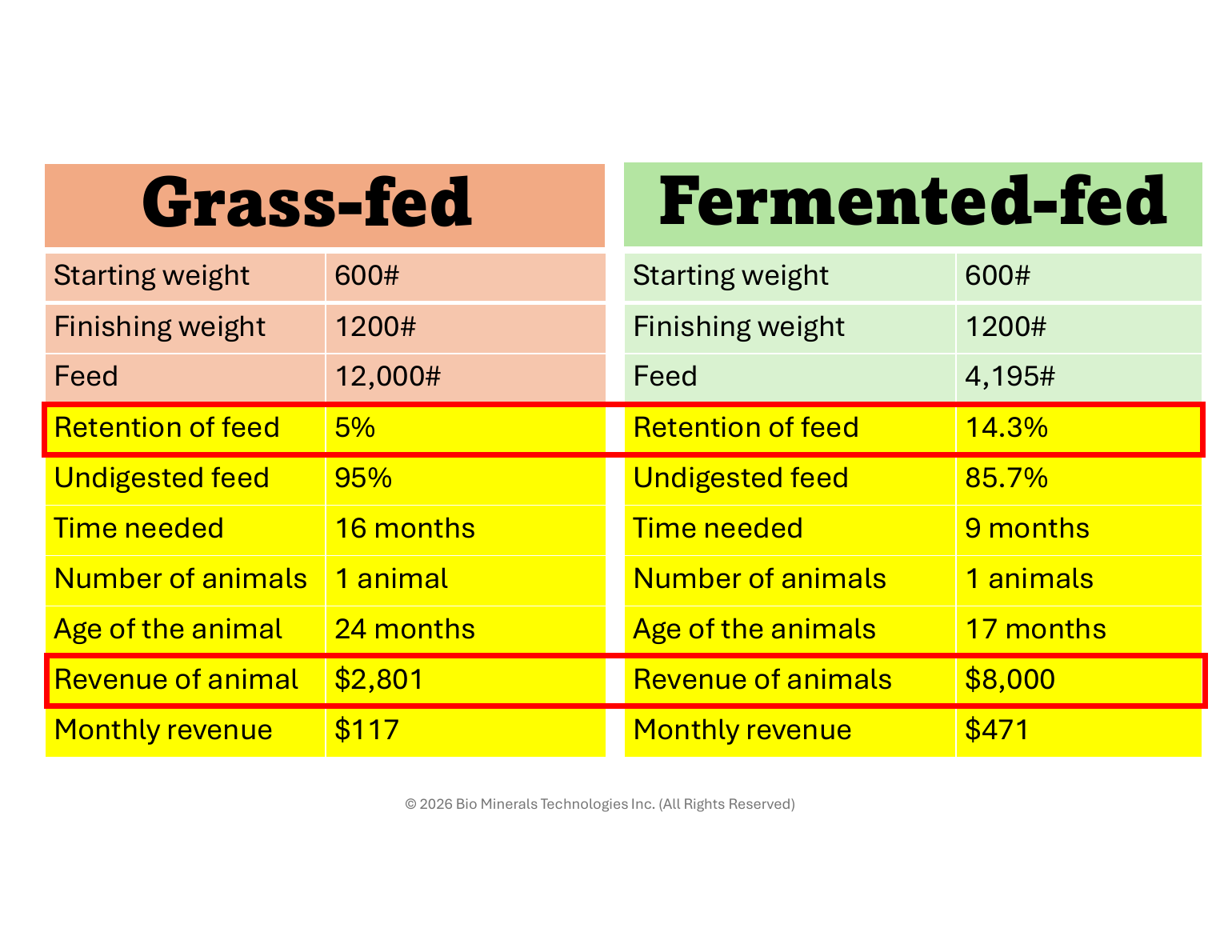 Grass-fed versus fermented-fed comparison table: feed needed, months to finish, and revenue per animal