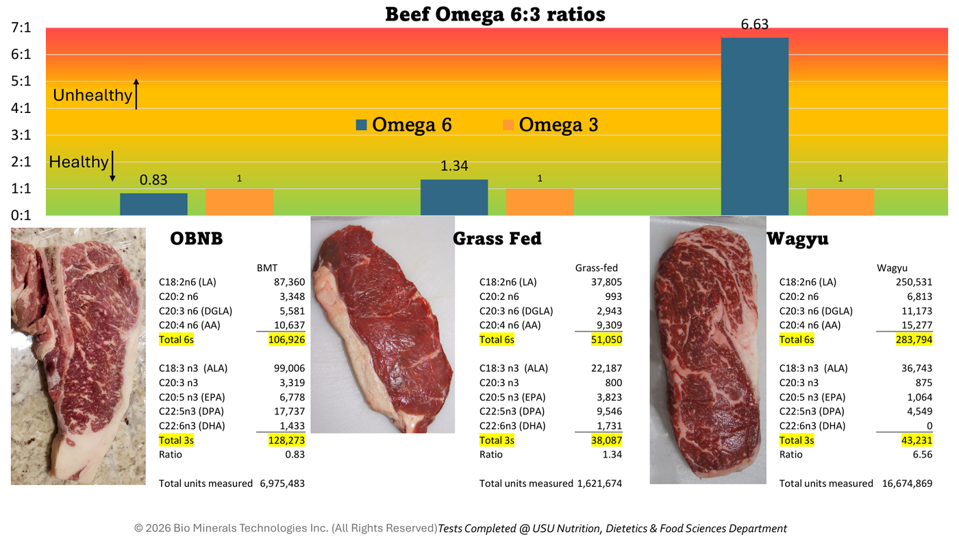 Fatty acid tables: Omega Balance Natural Beef totals 128,273 omega-3 units vs 43,231 for Wagyu, with omega-6:3 ratios of 0.83, 1.34 and 6.56