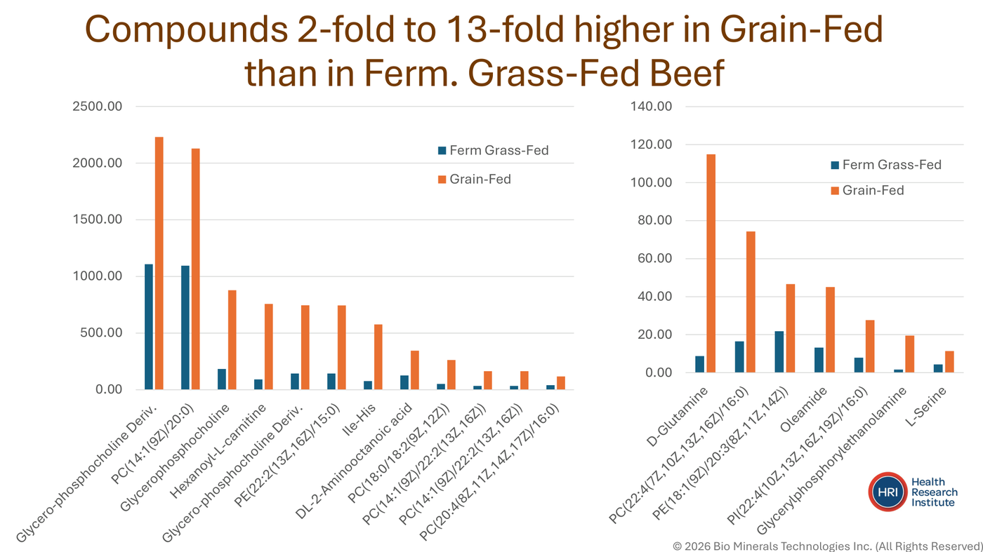 Chart of compounds 2-fold to 13-fold higher in grain-fed beef — metabolic stress biomarkers: glycerophosphocholine, hexanoyl-L-carnitine, D-glutamine, oleamide and more