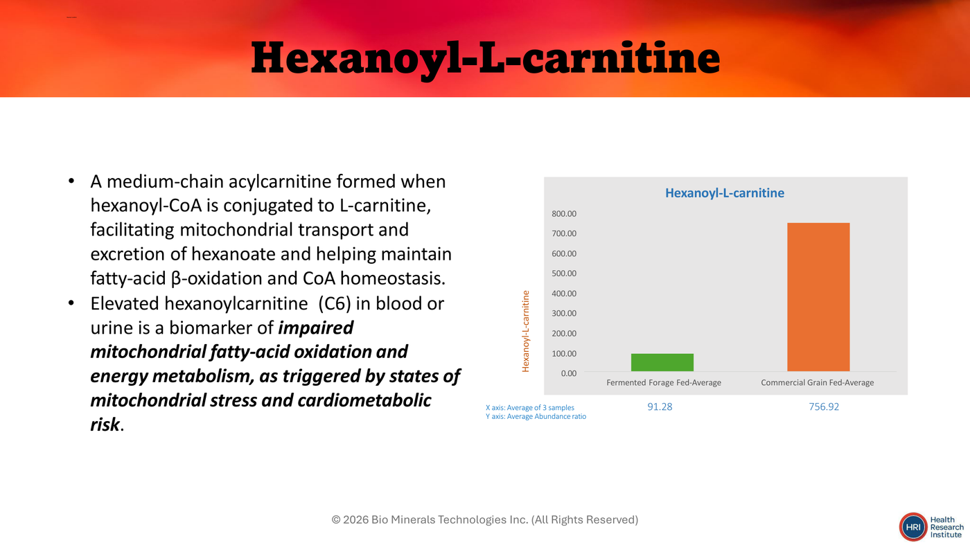Hexanoyl-L-carnitine bar chart: fermented forage-fed average 91.28 versus commercial grain-fed average 756.92