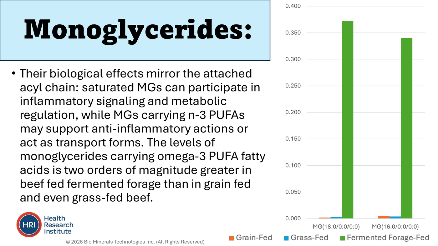 Monoglyceride levels: omega-3 monoglycerides are two orders of magnitude higher in fermented-forage-fed beef