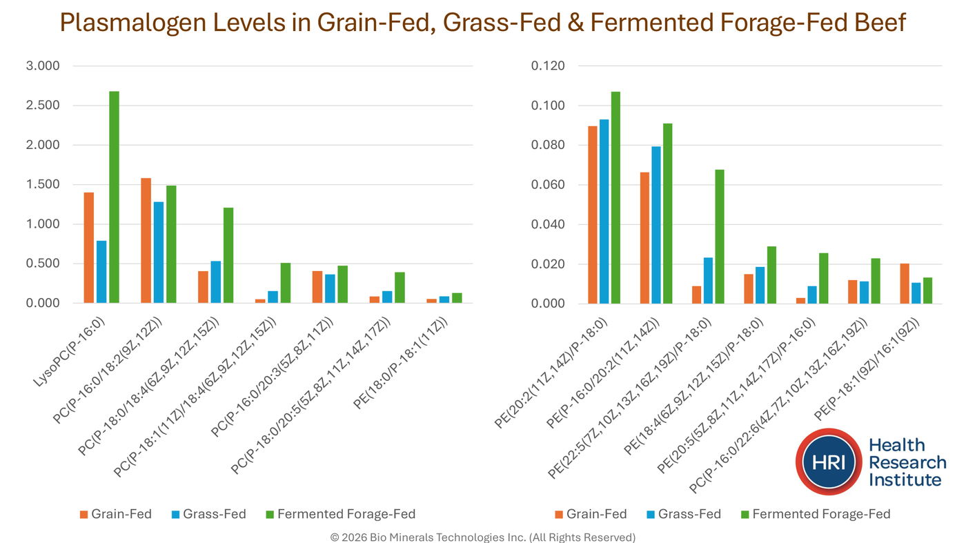 Plasmalogen levels in grain-fed, grass-fed and fermented forage-fed beef — fermented forage-fed leads nearly every species