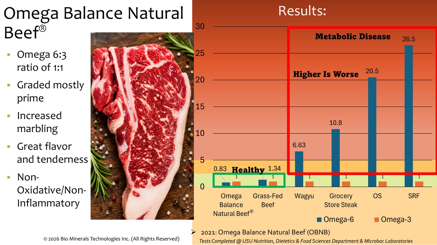 Omega-6 to omega-3 bar chart: Omega Balance Natural Beef 0.83 and grass-fed 1.34 in the healthy zone; Wagyu 6.63, grocery store steak 10.8, Omaha Steaks 20.5 and Snake River Farms 26.5 in the metabolic-disease zone