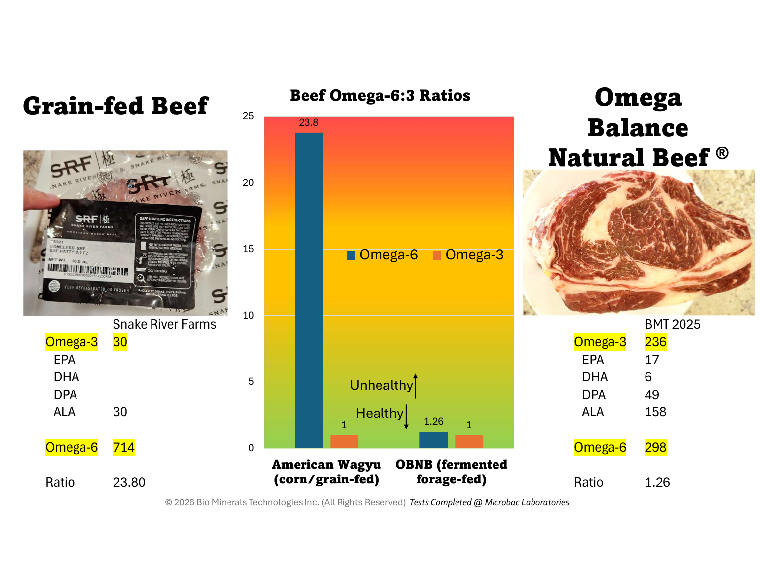 Beef omega-6 to omega-3 ratio chart: feedlot American Wagyu 23.8:1 vs Omega Balanced Meat 1.26:1